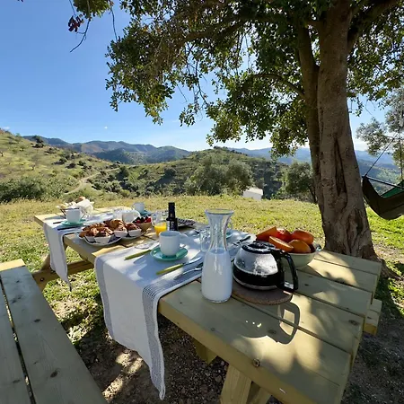 Chalet Campos Almogia